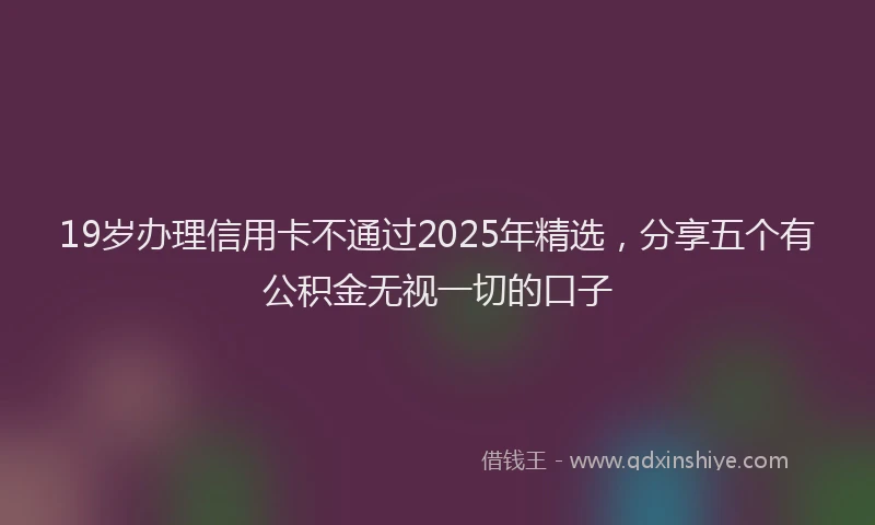 19岁办理信用卡不通过2025年精选，分享五个有公积金无视一切的口子