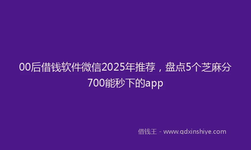 00后借钱软件微信2025年推荐，盘点5个芝麻分700能秒下的app