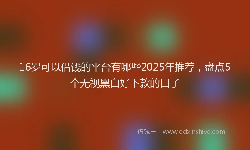 16岁可以借钱的平台有哪些2025年推荐，盘点5个无视黑白好下款的口子