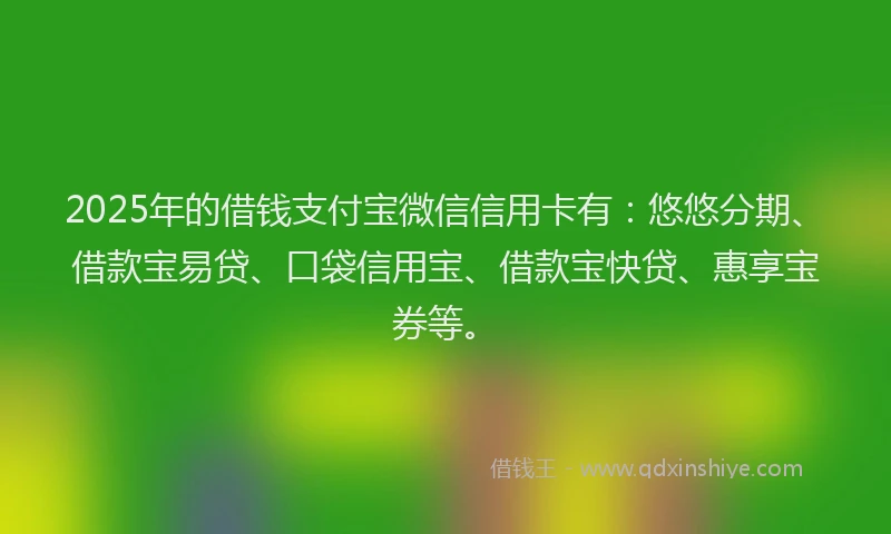 2025年的借钱支付宝微信信用卡有：悠悠分期、借款宝易贷、口袋信用宝、借款宝快贷、惠享宝券等。