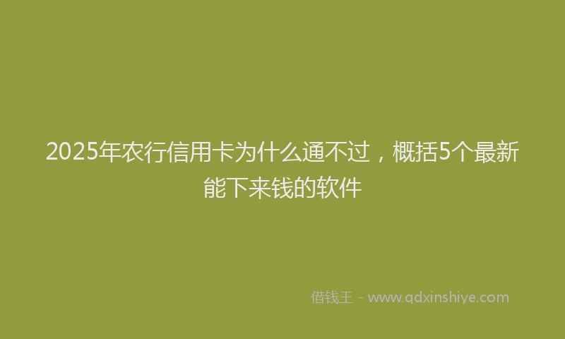 2025年农行信用卡为什么通不过，概括5个最新能下来钱的软件