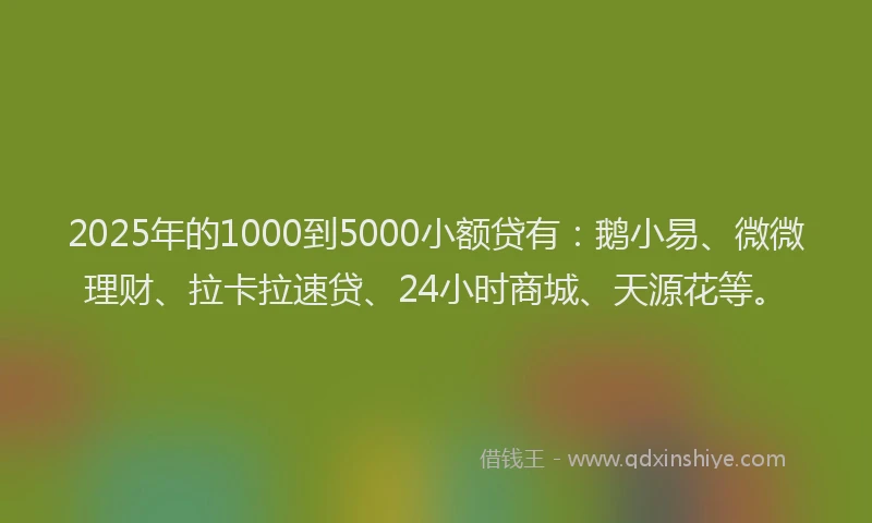 2025年的1000到5000小额贷有：鹅小易、微微理财、拉卡拉速贷、24小时商城、天源花等。