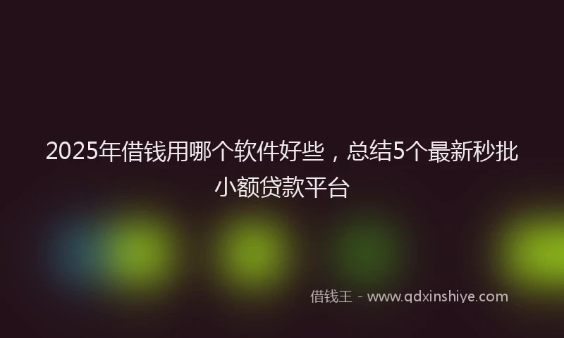 2025年借钱用哪个软件好些，总结5个最新秒批小额贷款平台