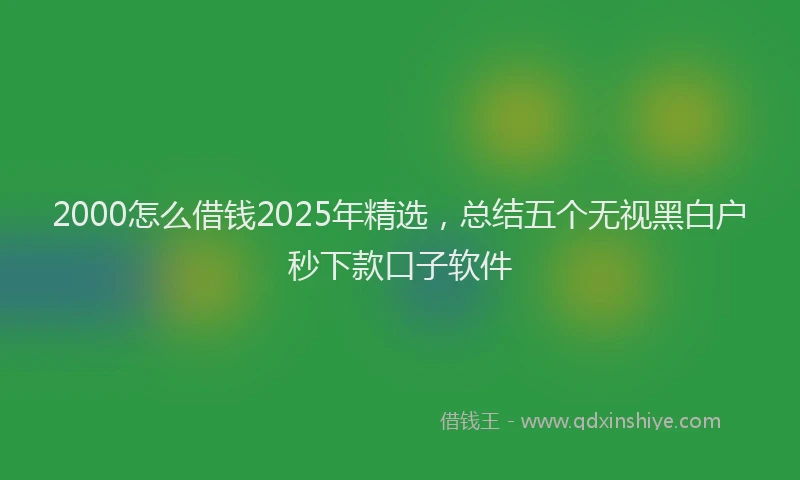 2000怎么借钱2025年精选，总结五个无视黑白户秒下款口子软件