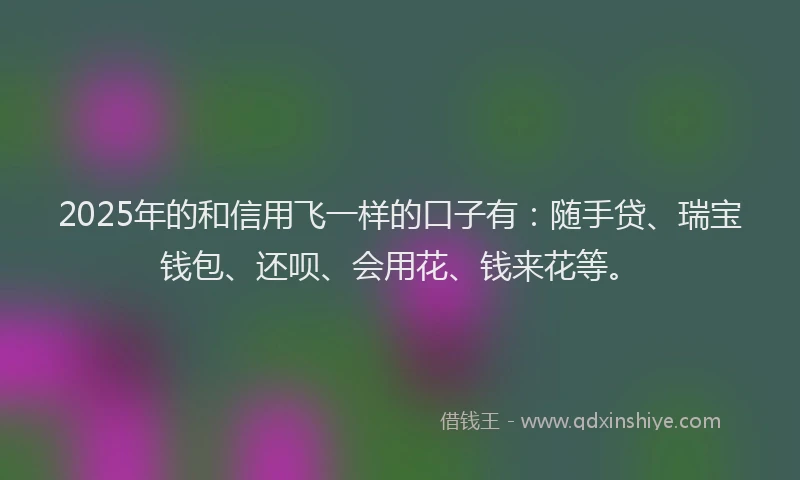 2025年的和信用飞一样的口子有：随手贷、瑞宝钱包、还呗、会用花、钱来花等。