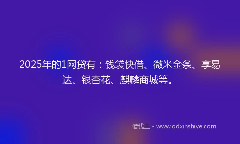 2025年的1网贷有：钱袋快借、微米金条、享易达、银杏花、麒麟商城等。