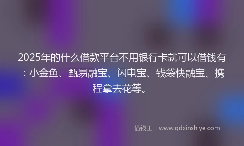 2025年的什么借款平台不用银行卡就可以借钱有：小金鱼、甄易融宝、闪电宝、钱袋快融宝、携程拿去花等。