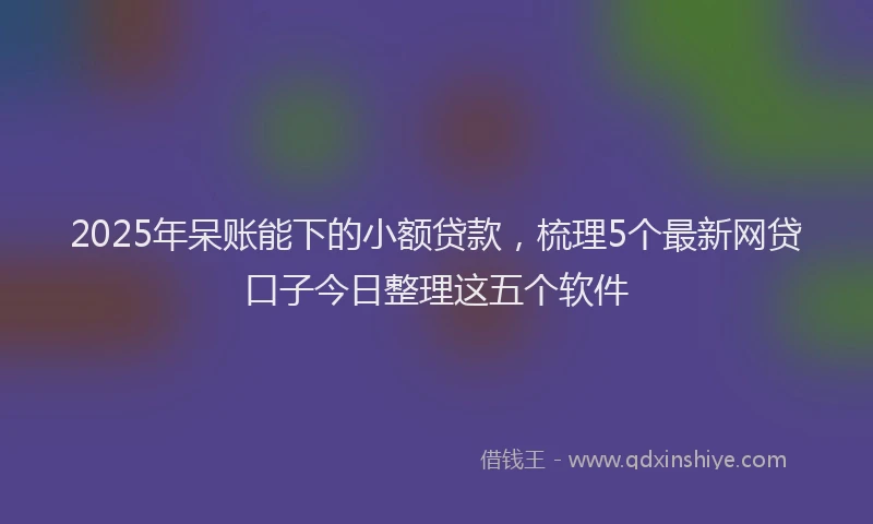 2025年呆账能下的小额贷款，梳理5个最新网贷口子今日整理这五个软件