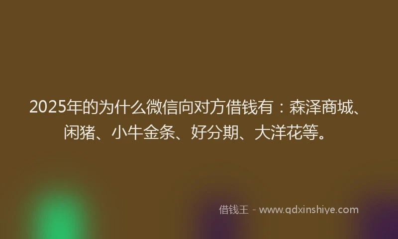 2025年的为什么微信向对方借钱有：森泽商城、闲猪、小牛金条、好分期、大洋花等。