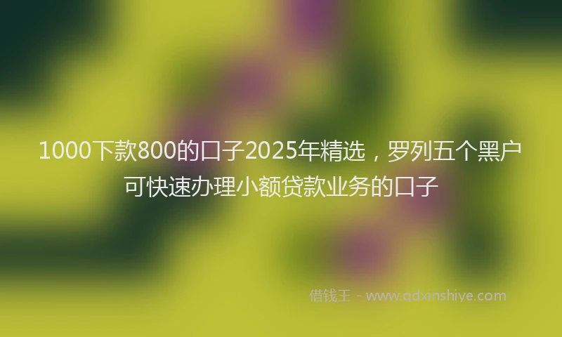 1000下款800的口子2025年精选，罗列五个黑户可快速办理小额贷款业务的口子