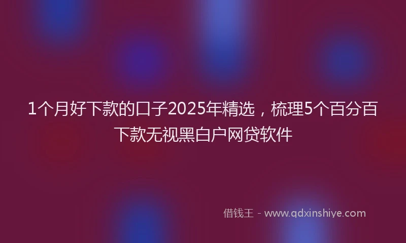 1个月好下款的口子2025年精选，梳理5个百分百下款无视黑白户网贷软件