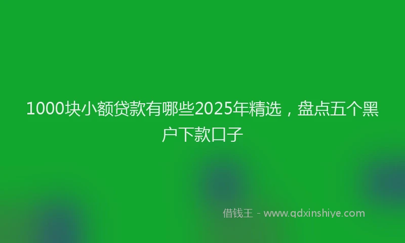 1000块小额贷款有哪些2025年精选，盘点五个黑户下款口子