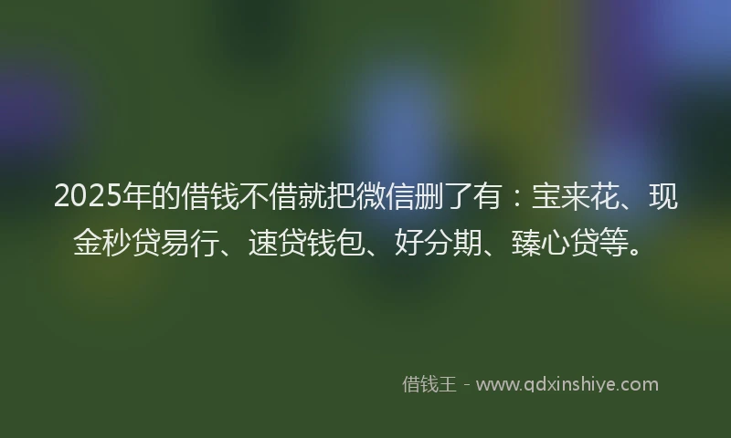 2025年的借钱不借就把微信删了有：宝来花、现金秒贷易行、速贷钱包、好分期、臻心贷等。