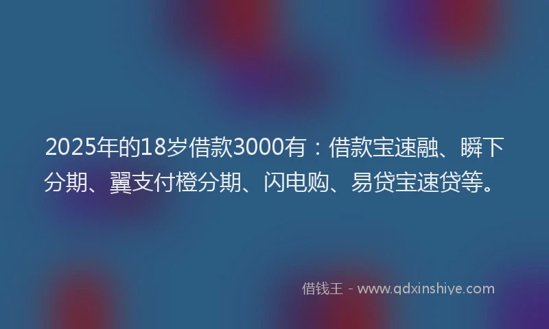 2025年的18岁借款3000有：借款宝速融、瞬下分期、翼支付橙分期、闪电购、易贷宝速贷等。