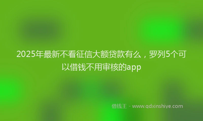 2025年最新不看征信大额贷款有么，罗列5个可以借钱不用审核的app