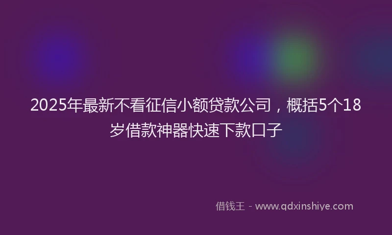 2025年最新不看征信小额贷款公司，概括5个18岁借款神器快速下款口子