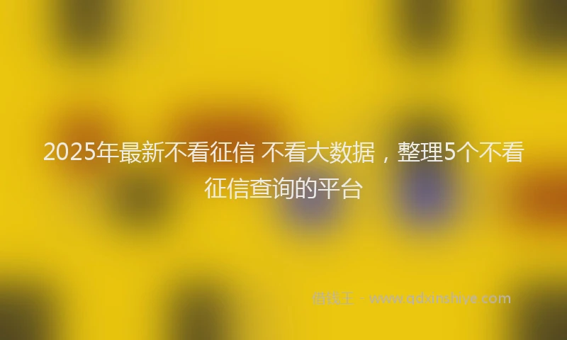 2025年最新不看征信 不看大数据，整理5个不看征信查询的平台
