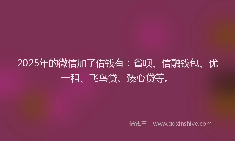 2025年的微信加了借钱有：省呗、信融钱包、优一租、飞鸟贷、臻心贷等。