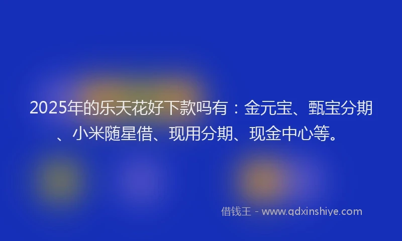 2025年的乐天花好下款吗有：金元宝、甄宝分期、小米随星借、现用分期、现金中心等。