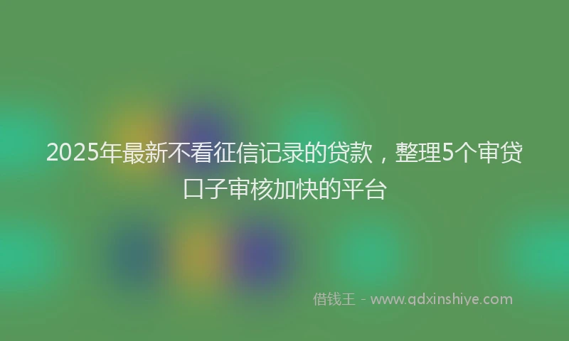 2025年最新不看征信记录的贷款，整理5个审贷口子审核加快的平台