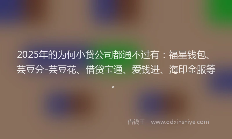 2025年的为何小贷公司都通不过有：福星钱包、芸豆分-芸豆花、借贷宝通、爱钱进、海印金服等。