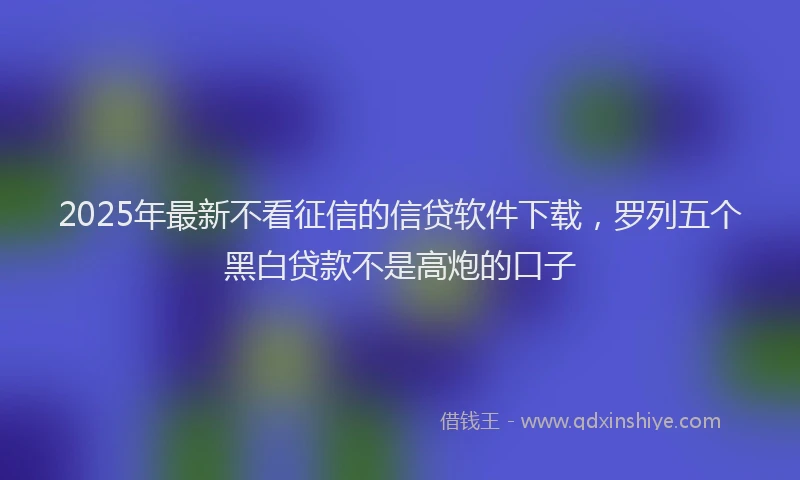 2025年最新不看征信的信贷软件下载，罗列五个黑白贷款不是高炮的口子