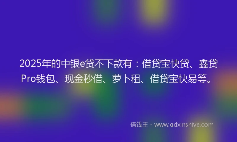 2025年的中银e贷不下款有：借贷宝快贷、鑫贷Pro钱包、现金秒借、萝卜租、借贷宝快易等。