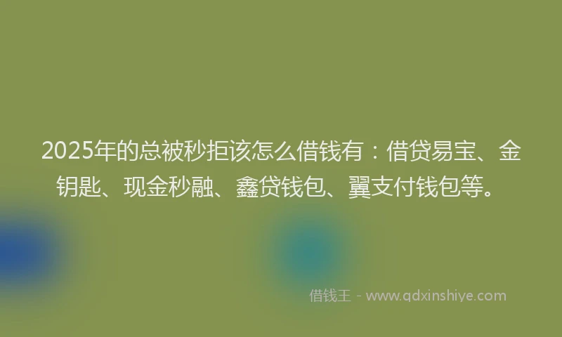 2025年的总被秒拒该怎么借钱有：借贷易宝、金钥匙、现金秒融、鑫贷钱包、翼支付钱包等。