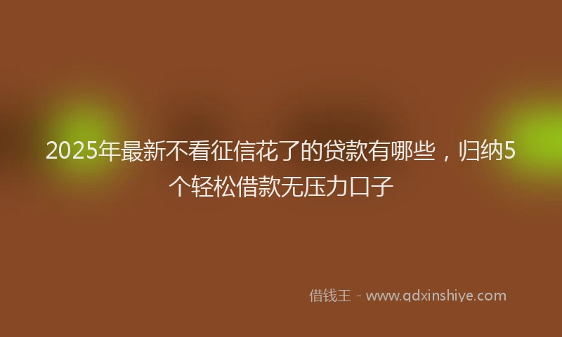 2025年最新不看征信花了的贷款有哪些，归纳5个轻松借款无压力口子