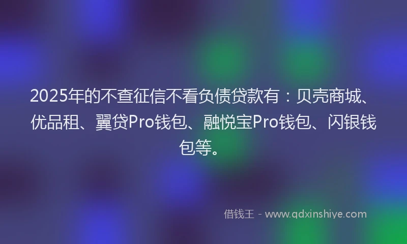 2025年的不查征信不看负债贷款有：贝壳商城、优品租、翼贷Pro钱包、融悦宝Pro钱包、闪银钱包等。