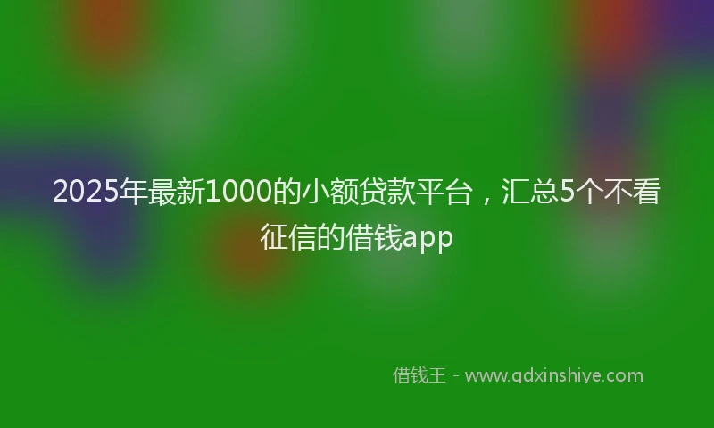 2025年最新1000的小额贷款平台，汇总5个不看征信的借钱app