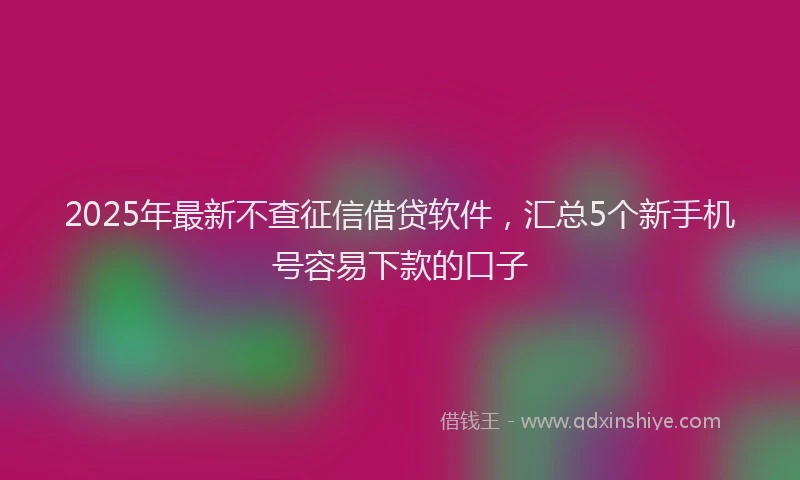 2025年最新不查征信借贷软件，汇总5个新手机号容易下款的口子
