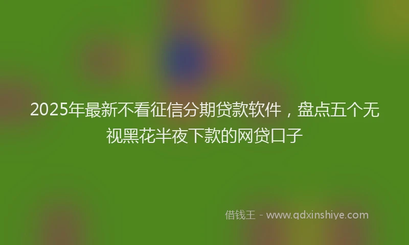 2025年最新不看征信分期贷款软件，盘点五个无视黑花半夜下款的网贷口子