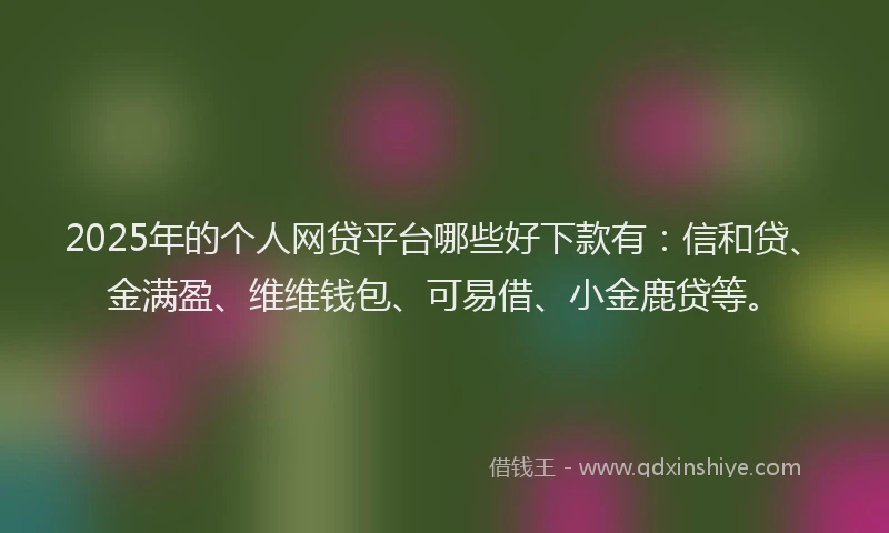 2025年的个人网贷平台哪些好下款有：信和贷、金满盈、维维钱包、可易借、小金鹿贷等。