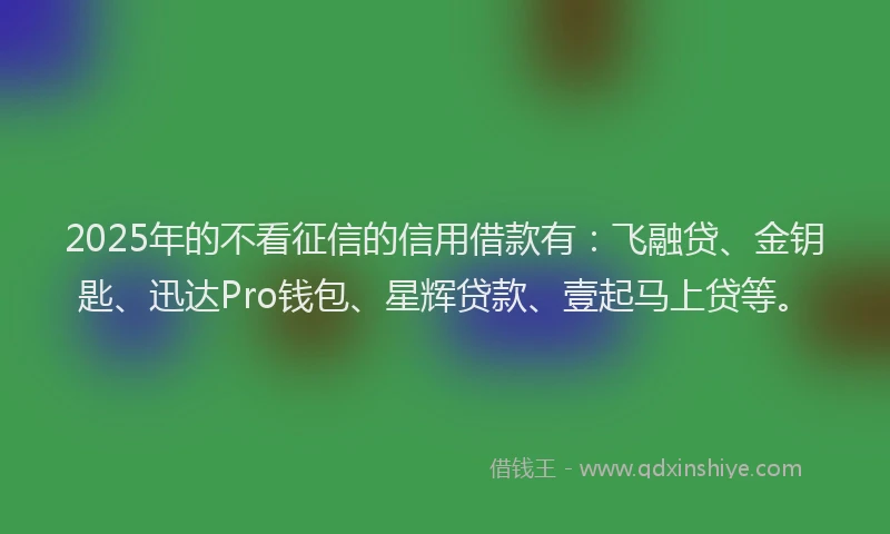2025年的不看征信的信用借款有：飞融贷、金钥匙、迅达Pro钱包、星辉贷款、壹起马上贷等。