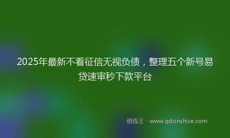 2025年最新不看征信无视负债，整理五个新号易贷速审秒下款平台