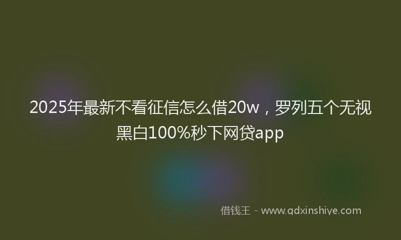 2025年最新不看征信怎么借20w，罗列五个无视黑白100%秒下网贷app