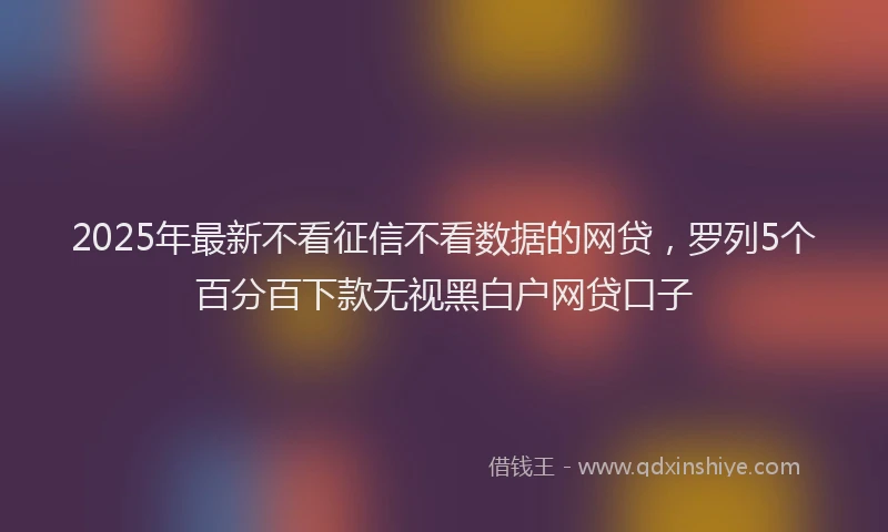 2025年最新不看征信不看数据的网贷，罗列5个百分百下款无视黑白户网贷口子