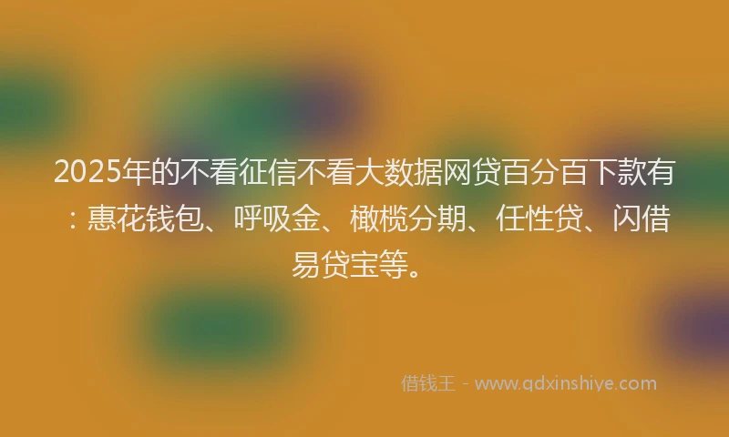 2025年的不看征信不看大数据网贷百分百下款有：惠花钱包、呼吸金、橄榄分期、任性贷、闪借易贷宝等。