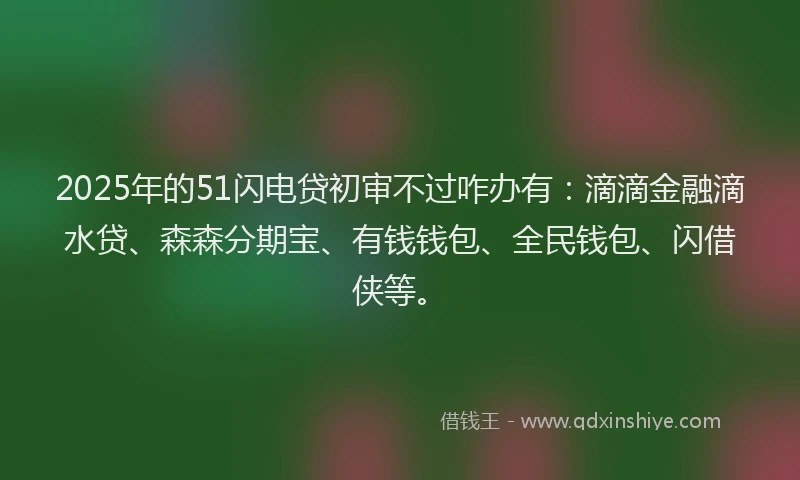 2025年的51闪电贷初审不过咋办有：滴滴金融滴水贷、森森分期宝、有钱钱包、全民钱包、闪借侠等。