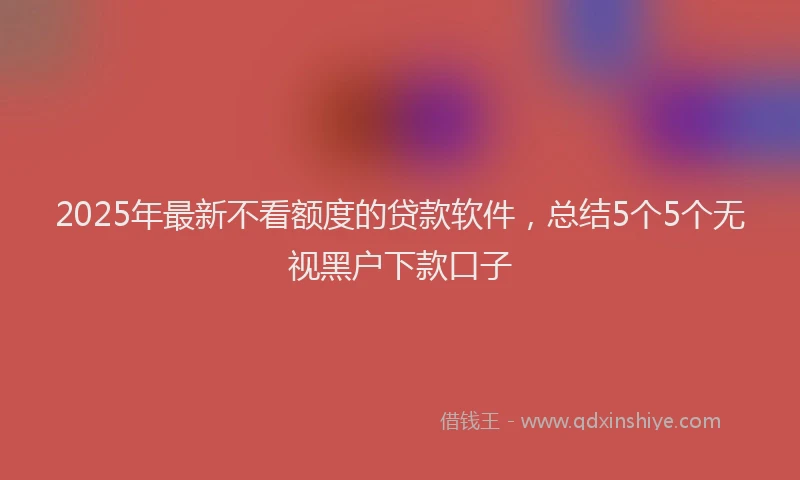 2025年最新不看额度的贷款软件，总结5个5个无视黑户下款口子