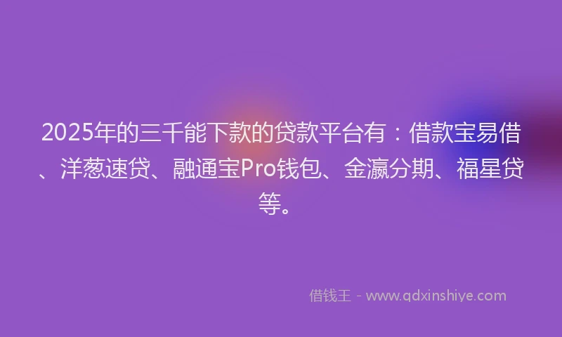 2025年的三千能下款的贷款平台有：借款宝易借、洋葱速贷、融通宝Pro钱包、金瀛分期、福星贷等。