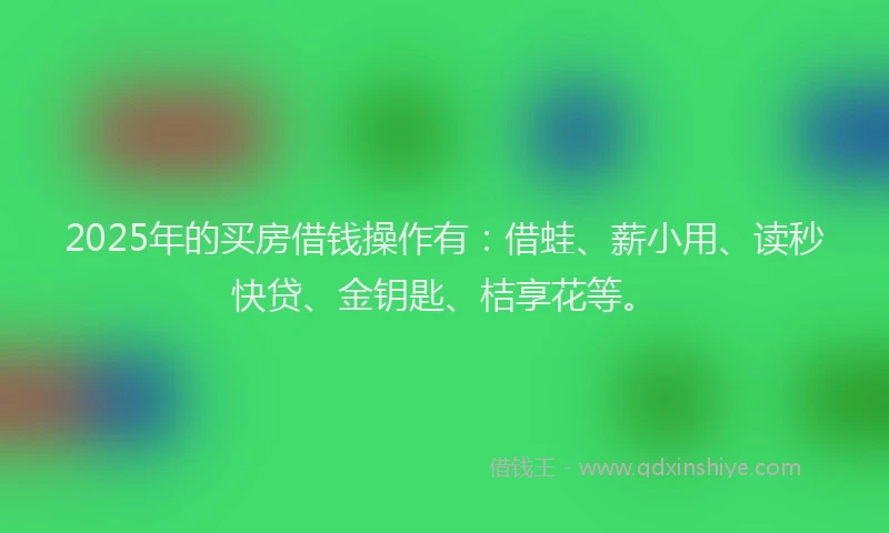 2025年的买房借钱操作有：借蛙、薪小用、读秒快贷、金钥匙、桔享花等。