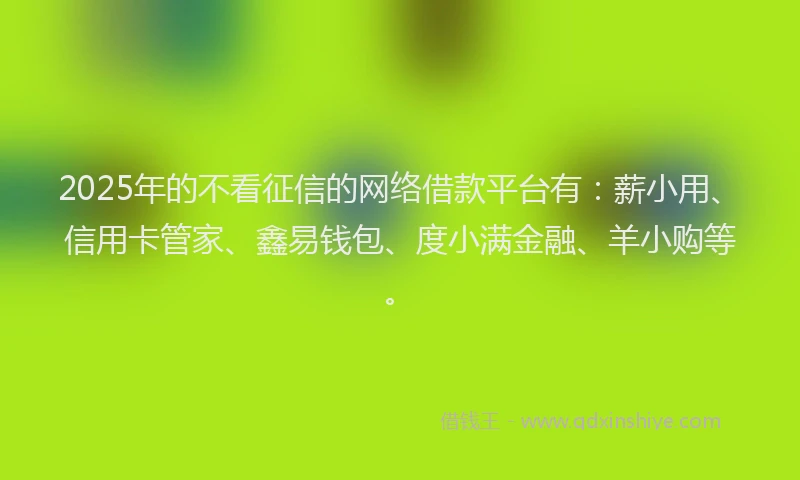 2025年的不看征信的网络借款平台有：薪小用、信用卡管家、鑫易钱包、度小满金融、羊小购等。