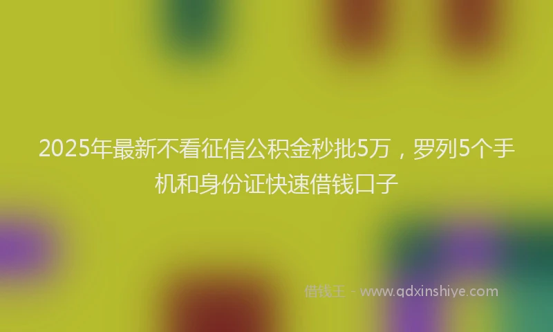2025年最新不看征信公积金秒批5万，罗列5个手机和身份证快速借钱口子