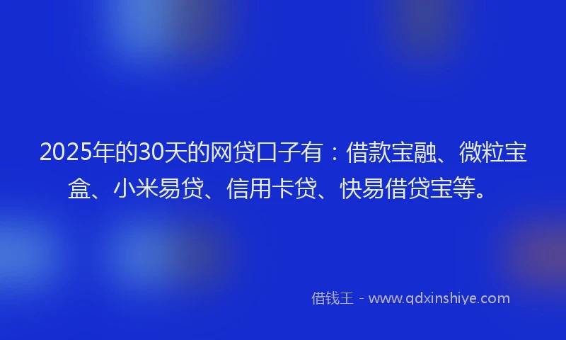 2025年的30天的网贷口子有：借款宝融、微粒宝盒、小米易贷、信用卡贷、快易借贷宝等。