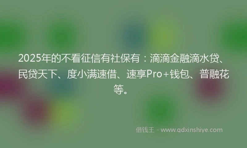 2025年的不看征信有社保有：滴滴金融滴水贷、民贷天下、度小满速借、速享Pro+钱包、普融花等。