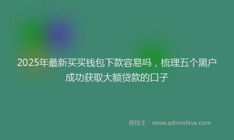 2025年最新买买钱包下款容易吗，梳理五个黑户成功获取大额贷款的口子