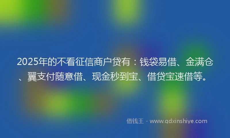2025年的不看征信商户贷有：钱袋易借、金满仓、翼支付随意借、现金秒到宝、借贷宝速借等。