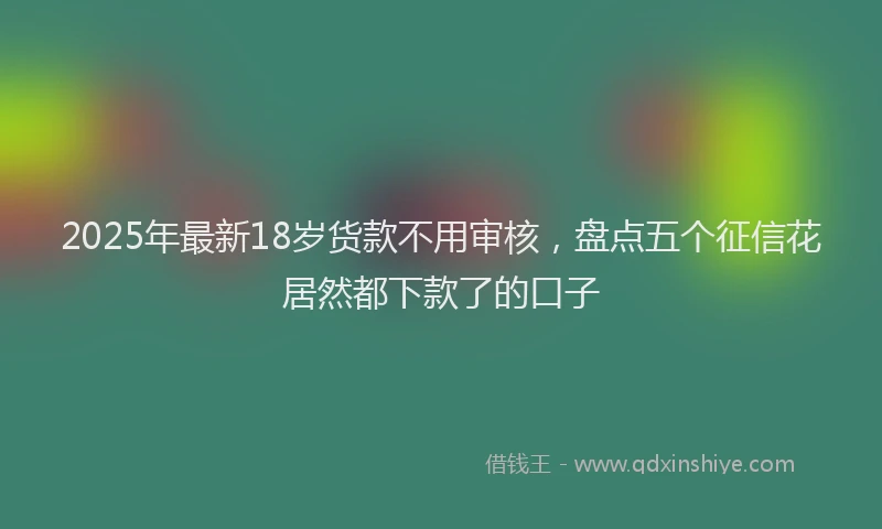 2025年最新18岁货款不用审核，盘点五个征信花居然都下款了的口子